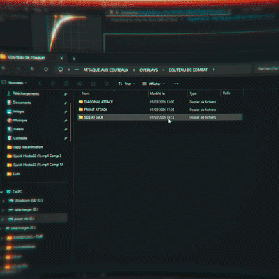 BUNDLE OVERLAYS BULLET/KNIFE